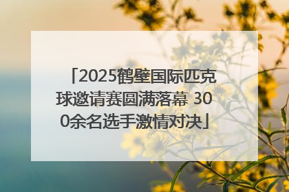 2025鹤壁国际匹克球邀请赛圆满落幕 300余名选手激情对决