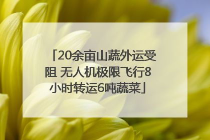 20余亩山蔬外运受阻 无人机极限飞行8小时转运6吨蔬菜