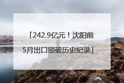 242.9亿元！沈阳前5月出口额破历史纪录