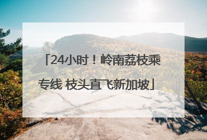 24小时！岭南荔枝乘专线 枝头直飞新加坡