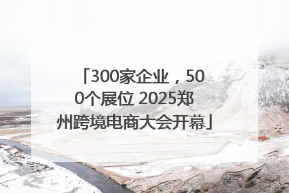 300家企业，500个展位 2025郑州跨境电商大会开幕