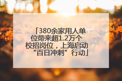 380余家用人单位带来超1.2万个校招岗位，上海启动“百日冲刺”行动