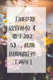 38岁郑欣宜补位《歌手2025》，此前因抑郁症停工两年