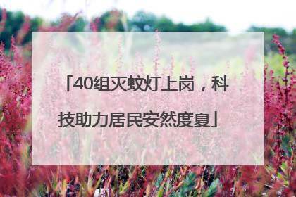 40组灭蚊灯上岗，科技助力居民安然度夏
