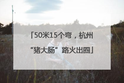 50米15个弯，杭州“猪大肠”路火出圈