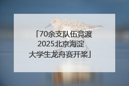 70余支队伍竞渡 2025北京海淀大学生龙舟赛开桨
