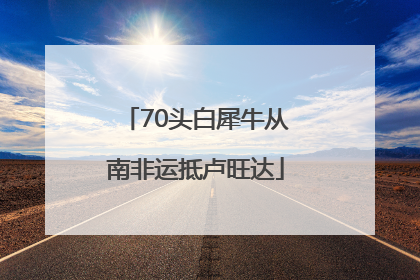 70头白犀牛从南非运抵卢旺达