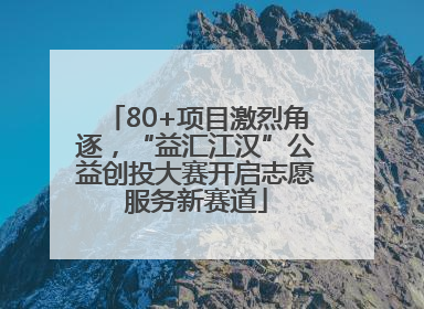 80+项目激烈角逐，“益汇江汉”公益创投大赛开启志愿服务新赛道