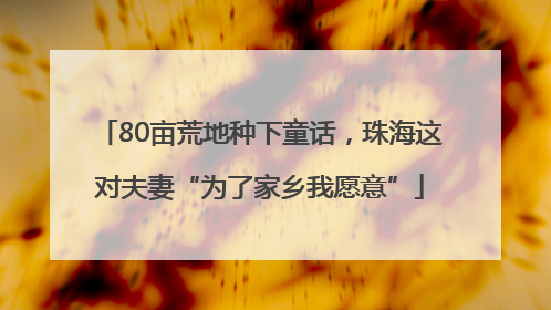 80亩荒地种下童话，珠海这对夫妻“为了家乡我愿意”