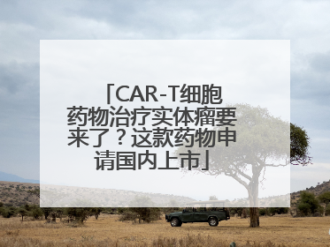 CAR-T细胞药物治疗实体瘤要来了？这款药物申请国内上市