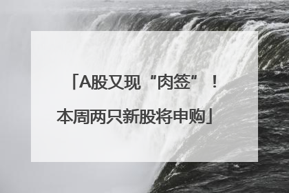 A股又现“肉签”！本周两只新股将申购
