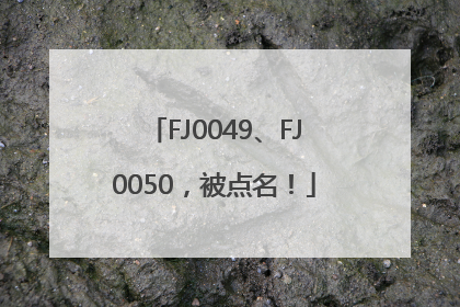 FJ0049、FJ0050，被点名！