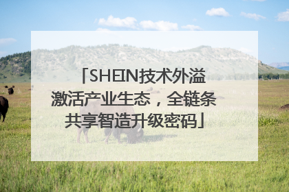 SHEIN技术外溢激活产业生态，全链条共享智造升级密码